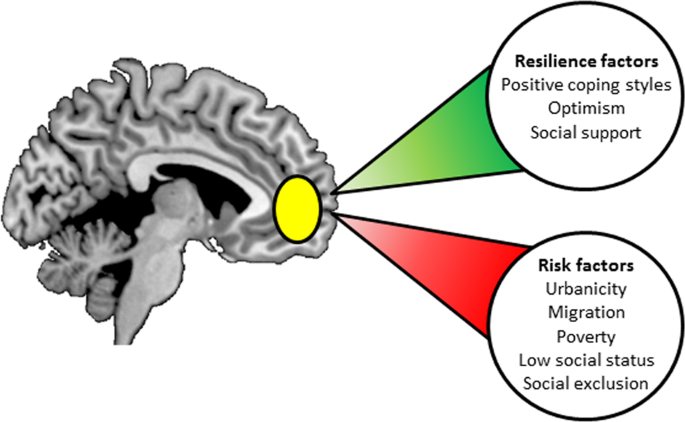 The Science of Resilience: How Your Brain Adapts to Challenges